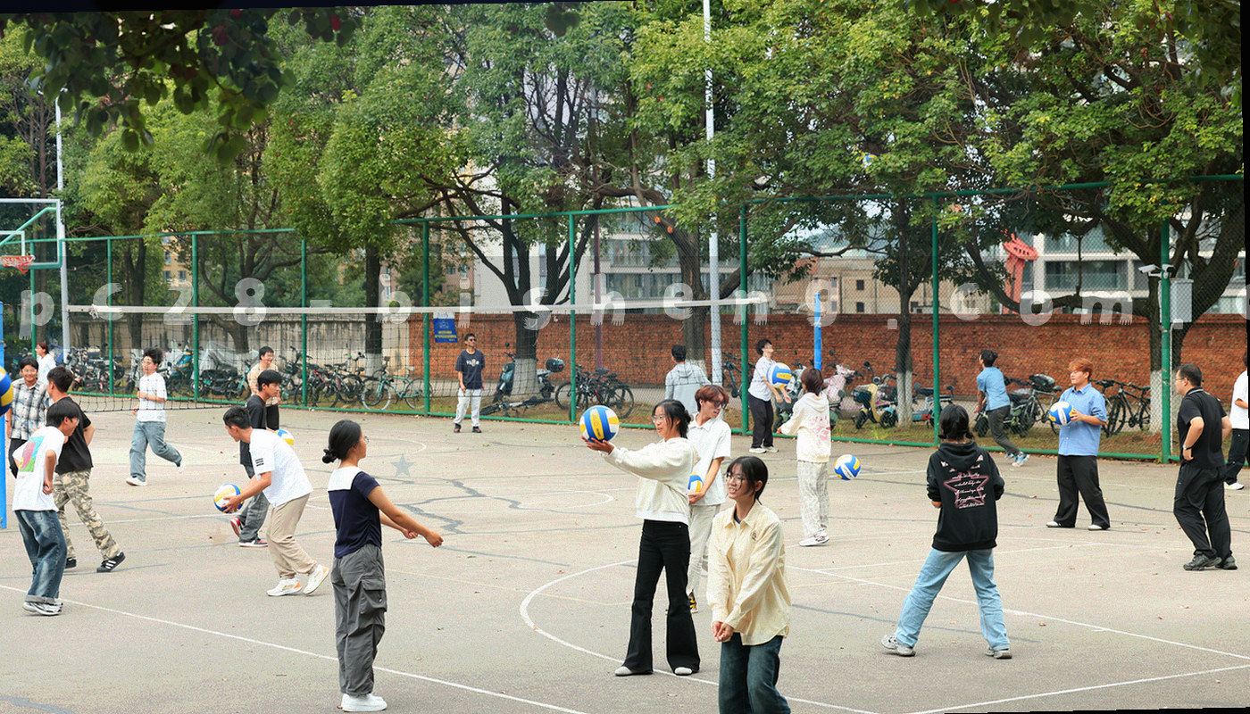 两条折线对比本期与上期快照的型号总量与平均交付周期变化，橙色折线代表本期